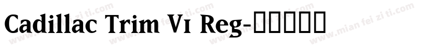 Cadillac Trim V1 Reg字体转换